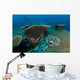 Tassled Wobbegong Shark Sits Wall Decal
