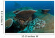 Tassled Wobbegong Shark Sits Wall Decal