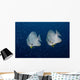 Pair Longfin Spadefish Raja Wall Decal