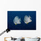 Pair Longfin Spadefish Raja Wall Decal