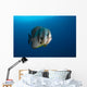 Longfin Spadefish Raja Ampat Wall Decal