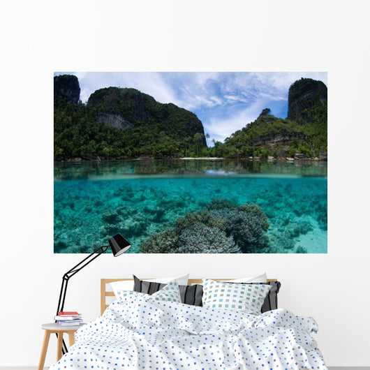 Split Level Photo Misool Wall Decal Design 2