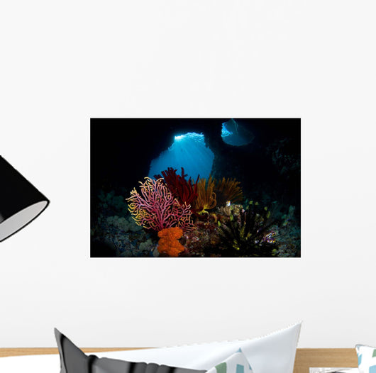 Crinoids and Small Gorgonian Wall Decal
