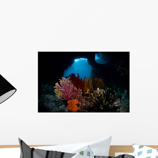 Crinoids and Small Gorgonian Wall Decal