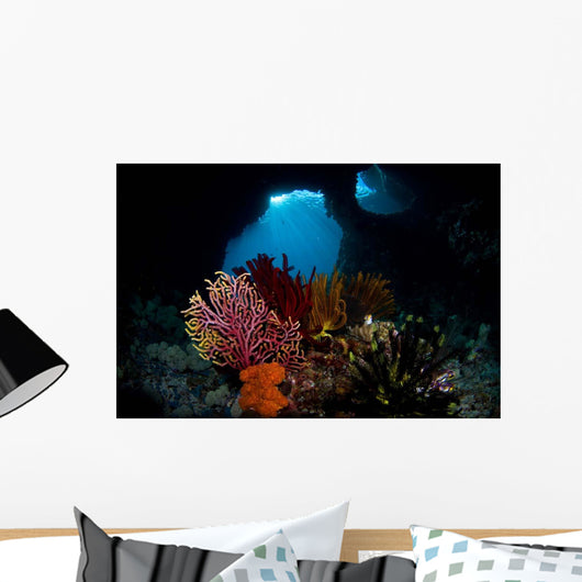 Crinoids and Small Gorgonian Wall Decal