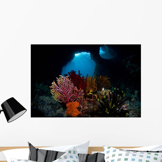 Crinoids and Small Gorgonian Wall Decal