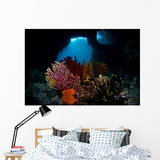 Crinoids and Small Gorgonian Wall Decal
