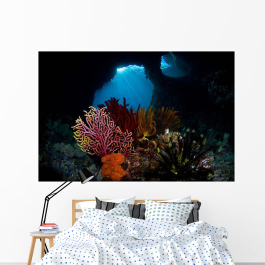Crinoids and Small Gorgonian Wall Decal