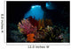 Crinoids and Small Gorgonian Wall Decal