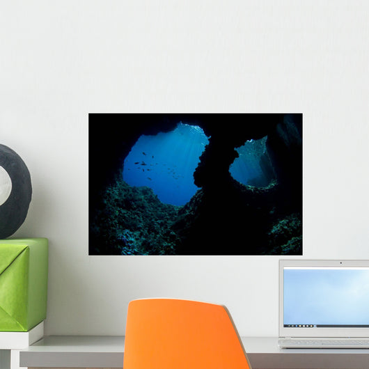 Boo Windows Boo Island Wall Decal Design 2