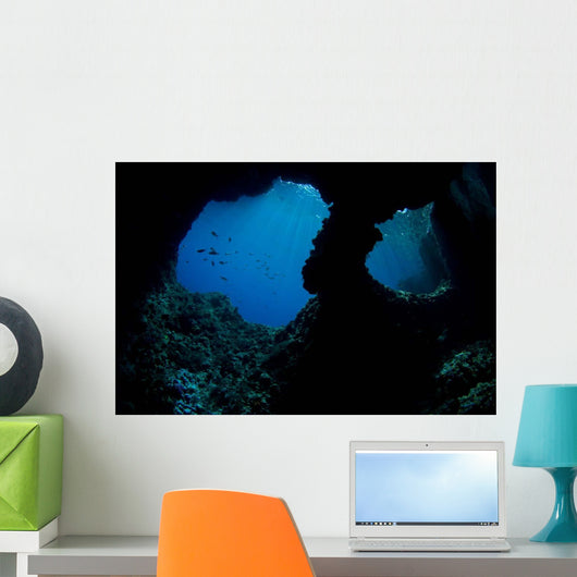 Boo Windows Boo Island Wall Decal Design 2