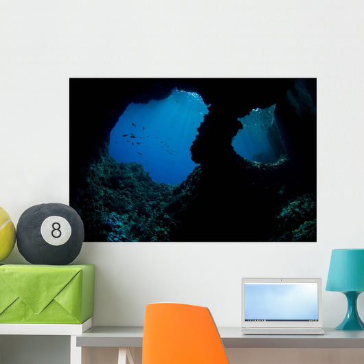 Boo Windows Boo Island Wall Decal Design 2
