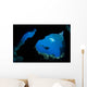 Diver Swims past Boo Wall Decal