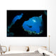 Diver Swims past Boo Wall Decal