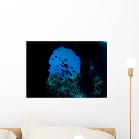 Boo Windows Boo Island Wall Decal Design 1