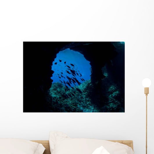Boo Windows Boo Island Wall Decal Design 1
