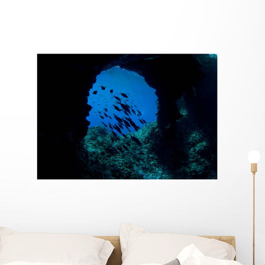 Boo Windows Boo Island Wall Decal Design 1