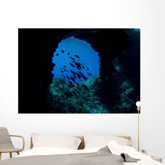 Boo Windows Boo Island Wall Decal Design 1