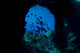 Boo Windows Boo Island Wall Decal Design 1