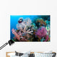 Soft Corals Tropical Reef Wall Decal Design 1