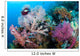 Soft Corals Tropical Reef Wall Decal Design 1