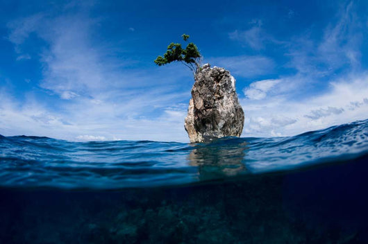 One Tree Rock Boo Wall Decal
