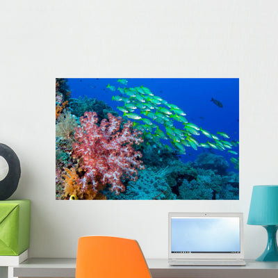 Soft Coral and Schooling Wall Decal shown on a wall