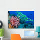Soft Coral and Schooling Wall Decal
