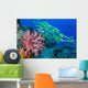 Soft Coral and Schooling Wall Decal