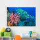 Soft Coral and Schooling Wall Decal