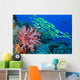 Soft Coral and Schooling Wall Decal