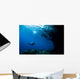 Diver Explores Underhang Mushroom Wall Decal