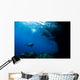 Diver Explores Underhang Mushroom Wall Decal