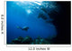 Diver Explores Underhang Mushroom Wall Decal