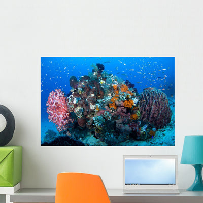 Soft Corals and Barrel Wall Decal shown on a wall