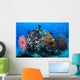 Soft Corals and Barrel Wall Decal