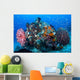 Soft Corals and Barrel Wall Decal