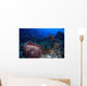 Schooling Convict Blennies and Wall Decal