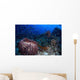 Schooling Convict Blennies and Wall Decal