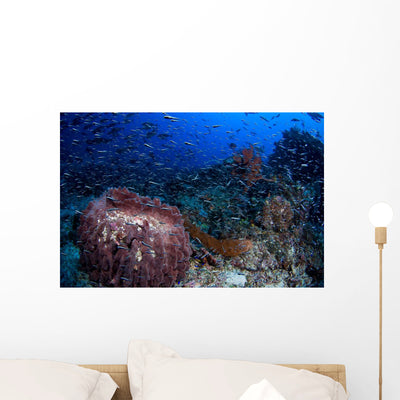 Schooling Convict Blennies and Wall Decal shown on a wall