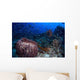 Schooling Convict Blennies and Wall Decal