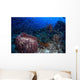 Schooling Convict Blennies and Wall Decal