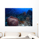 Schooling Convict Blennies and Wall Decal