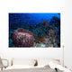 Schooling Convict Blennies and Wall Decal
