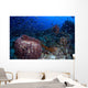 Schooling Convict Blennies and Wall Decal