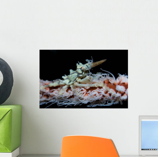 Wire Coral and Xeno Wall Decal