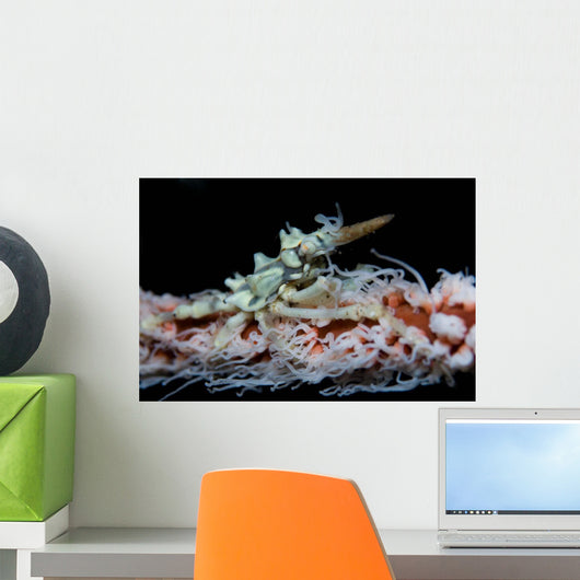 Wire Coral and Xeno Wall Decal