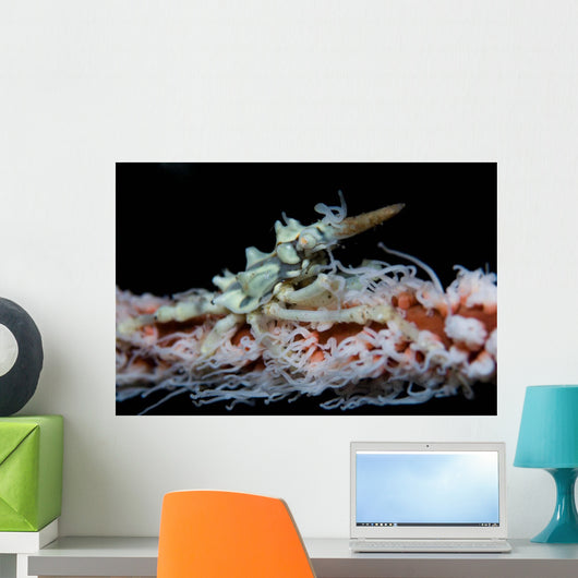 Wire Coral and Xeno Wall Decal