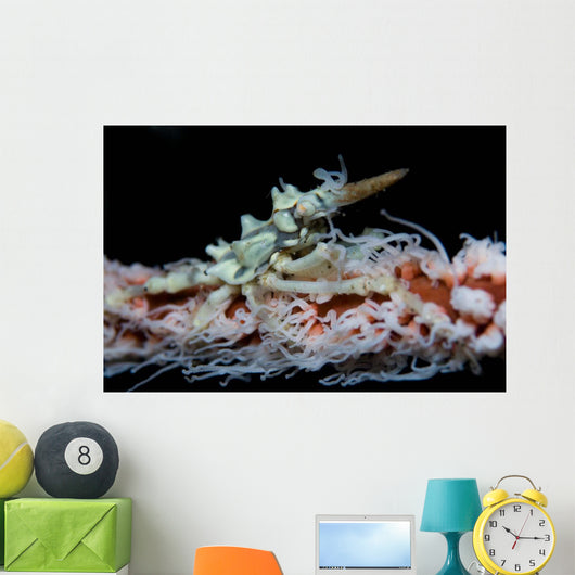 Wire Coral and Xeno Wall Decal