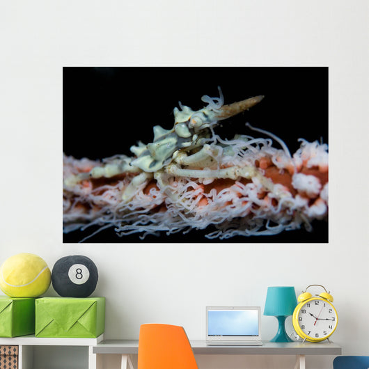Wire Coral and Xeno Wall Decal